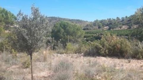 CASA APEROS REFORMAR VENTA BUGARRA, SUP 24 M, PARCELA RUSTICA 14.224 M. PRECIO:  34.000€, imagen 5