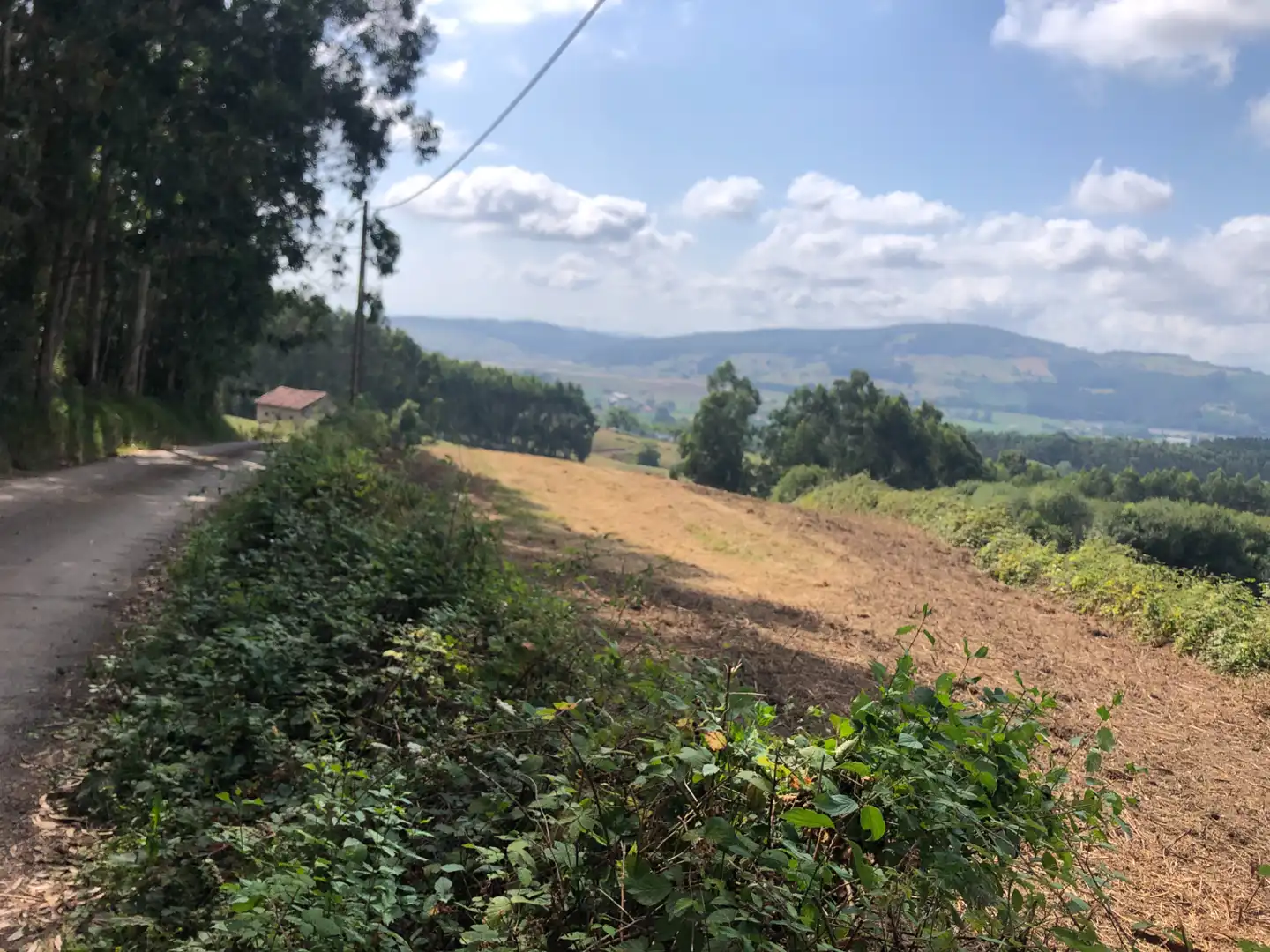 Finca rústica en venda en Villaescusa (Cantabria) amb Jardí privat