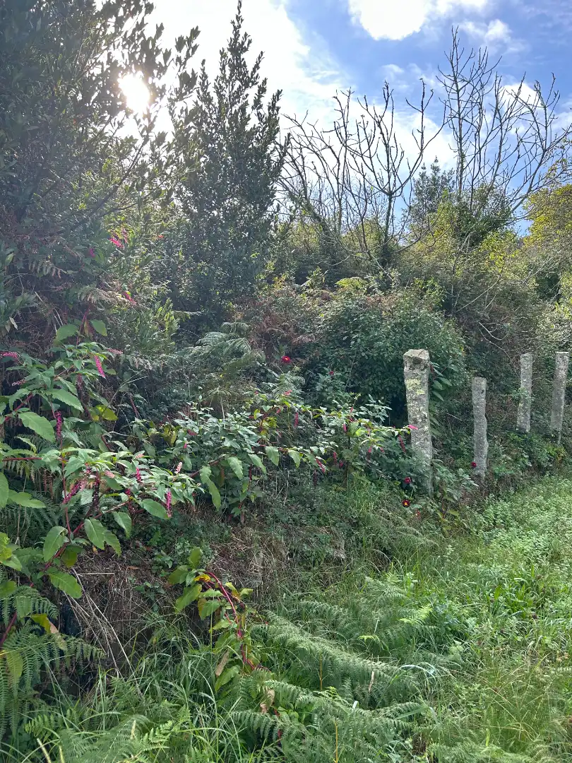 Casa o chalet en venta en Vilagarcía de Arousa, Pontevedra