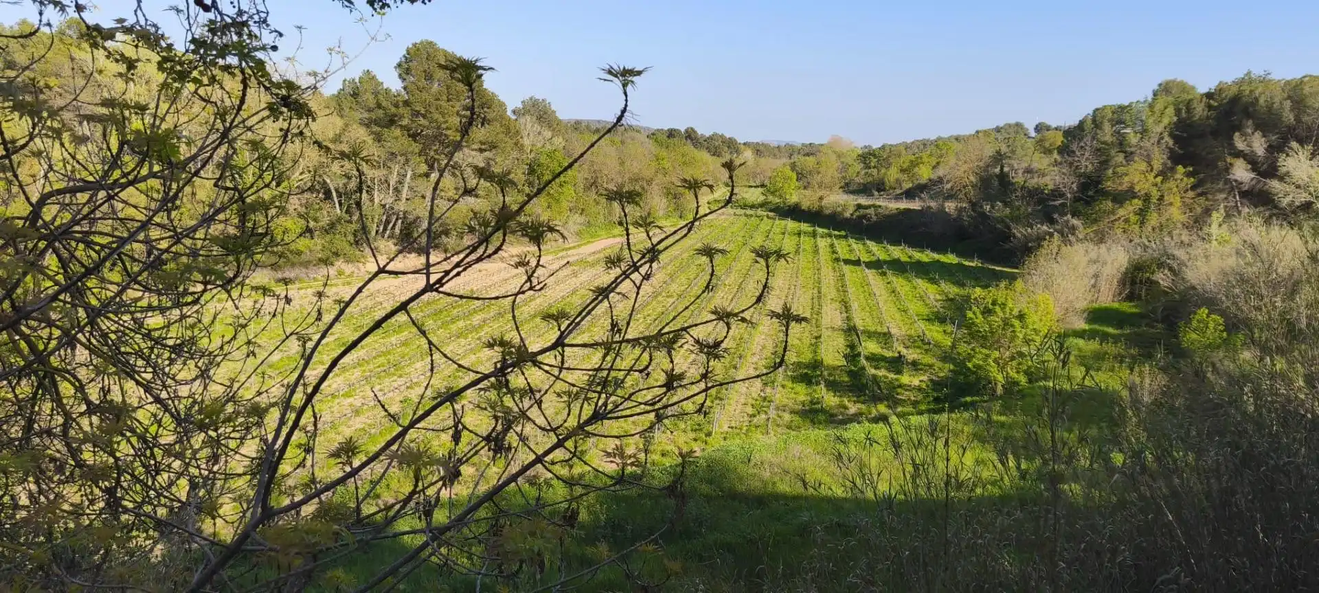 Casa rústica amb jardí en venda a Sant Martí Sarroca, imagen 17