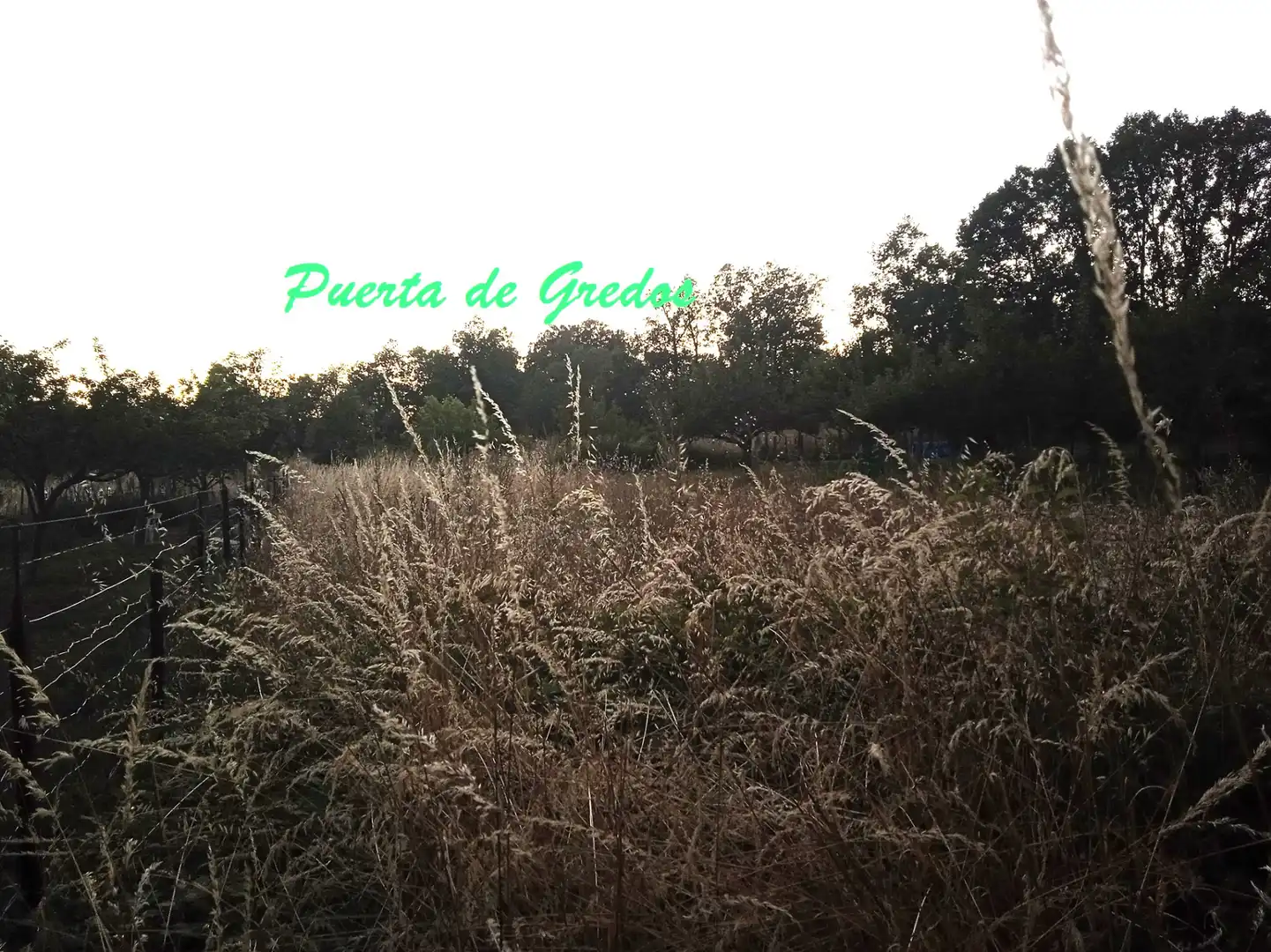 Terreno en venta en Villafranca de la Sierra