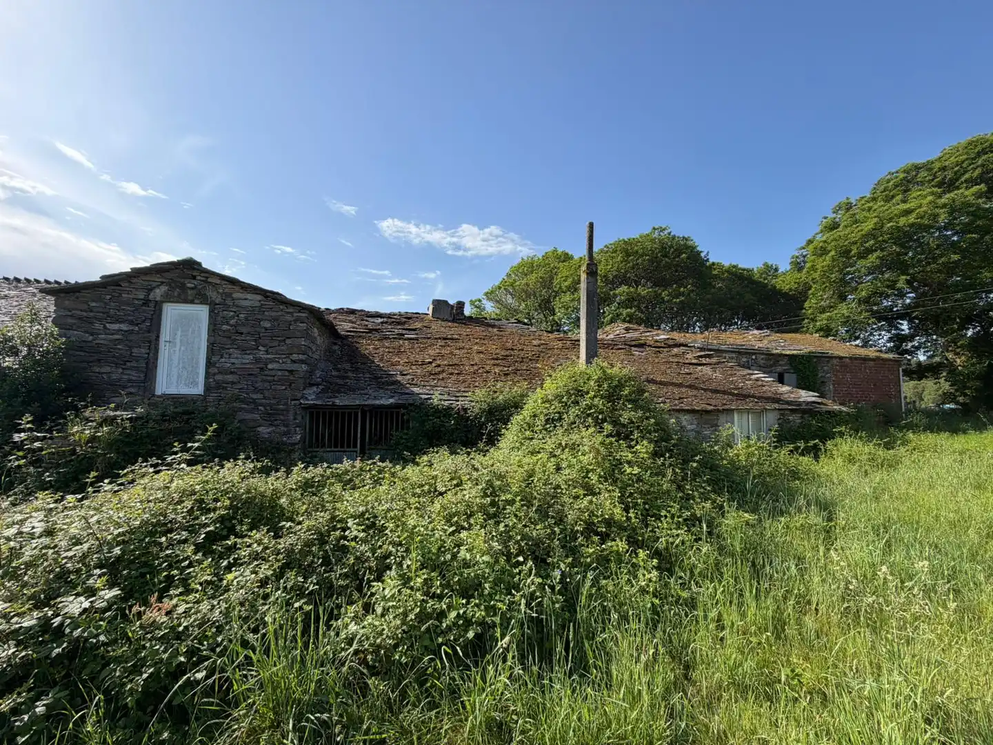 Vista exterior de Finca rústica en venta en Xermade con Jardín privado