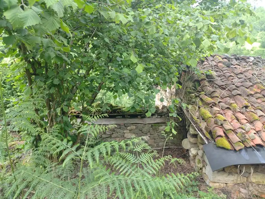 Casa rústica en venda a Caso, imagen 41