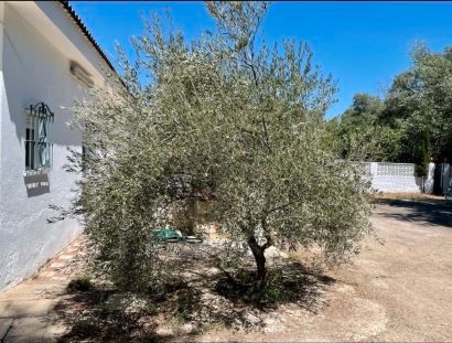 Jardí de Casa o xalet en venda en  Jaén Capital amb Jardí privat i Piscina