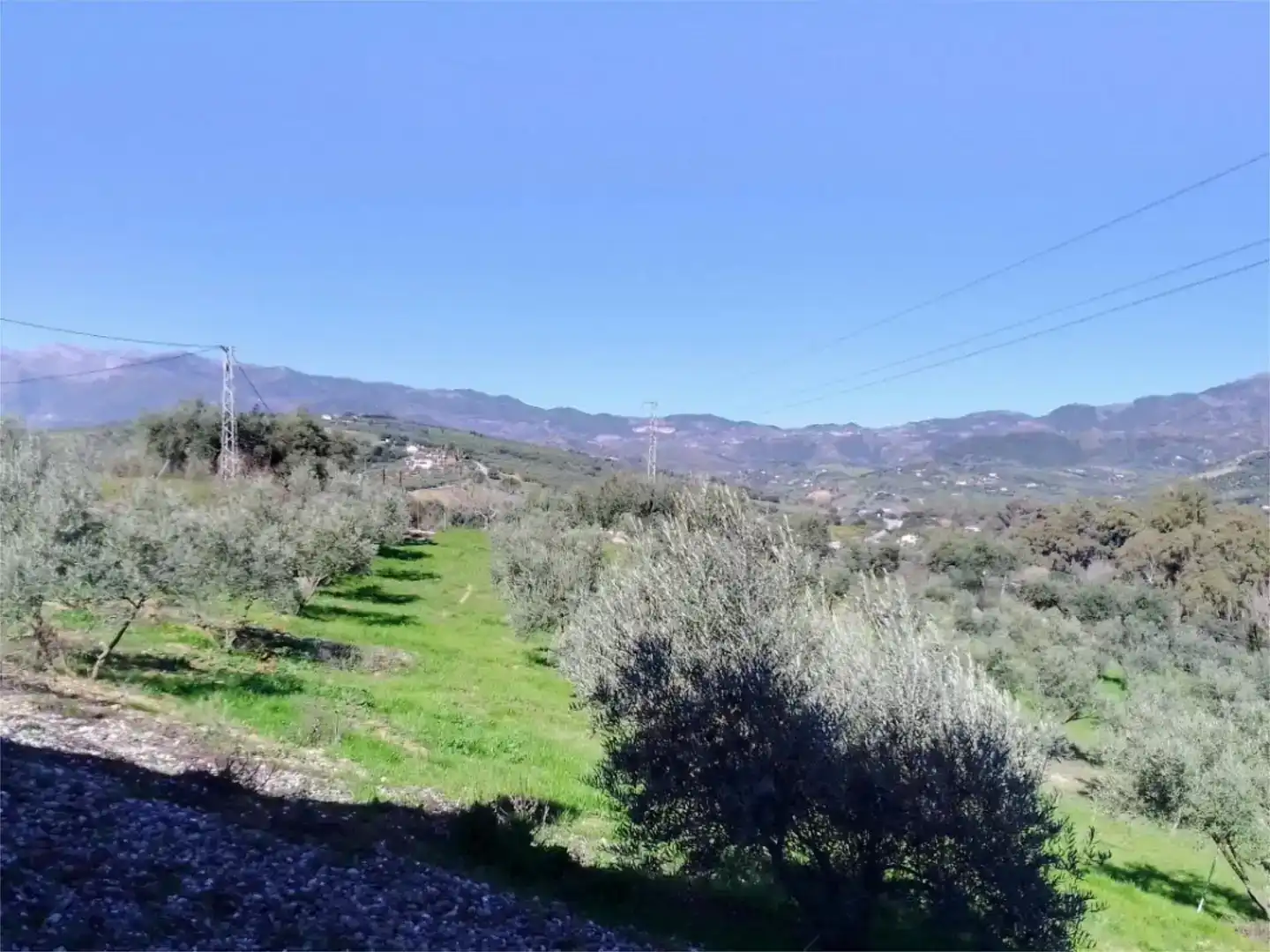 Finca rústica en venda en Coín, Málaga