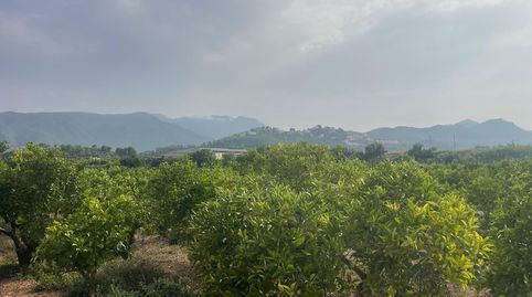 Foto 4 de Finca rústica en venda a Partida Tancaes, 175, Vilallonga / Villalonga, Valencia