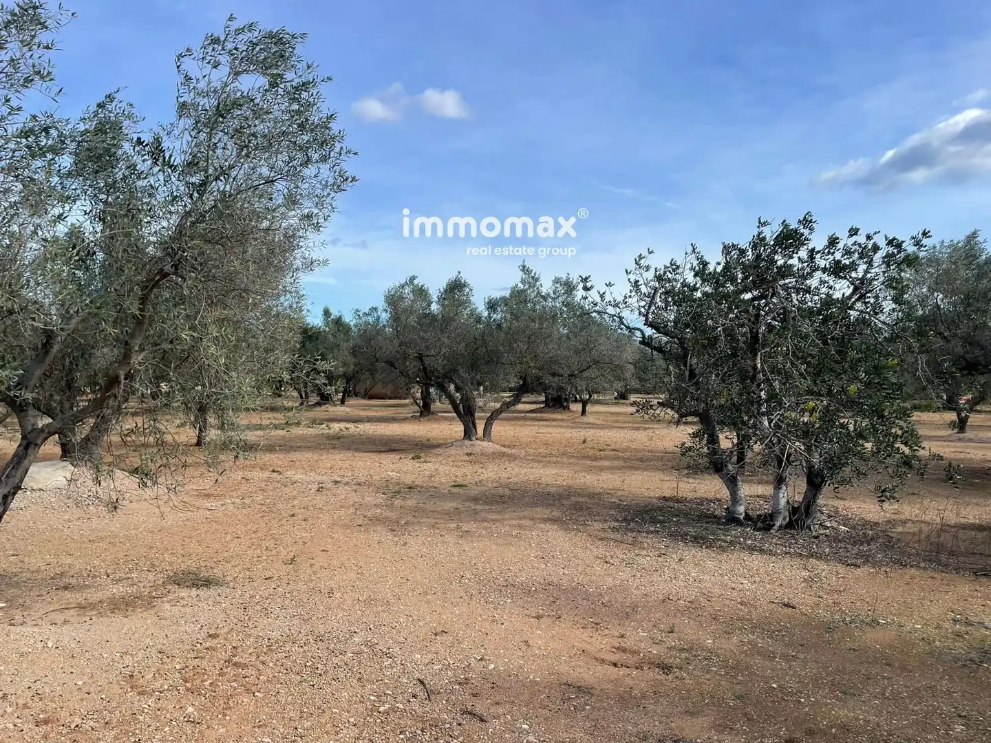 Residential land for sale in 10, imagen 13