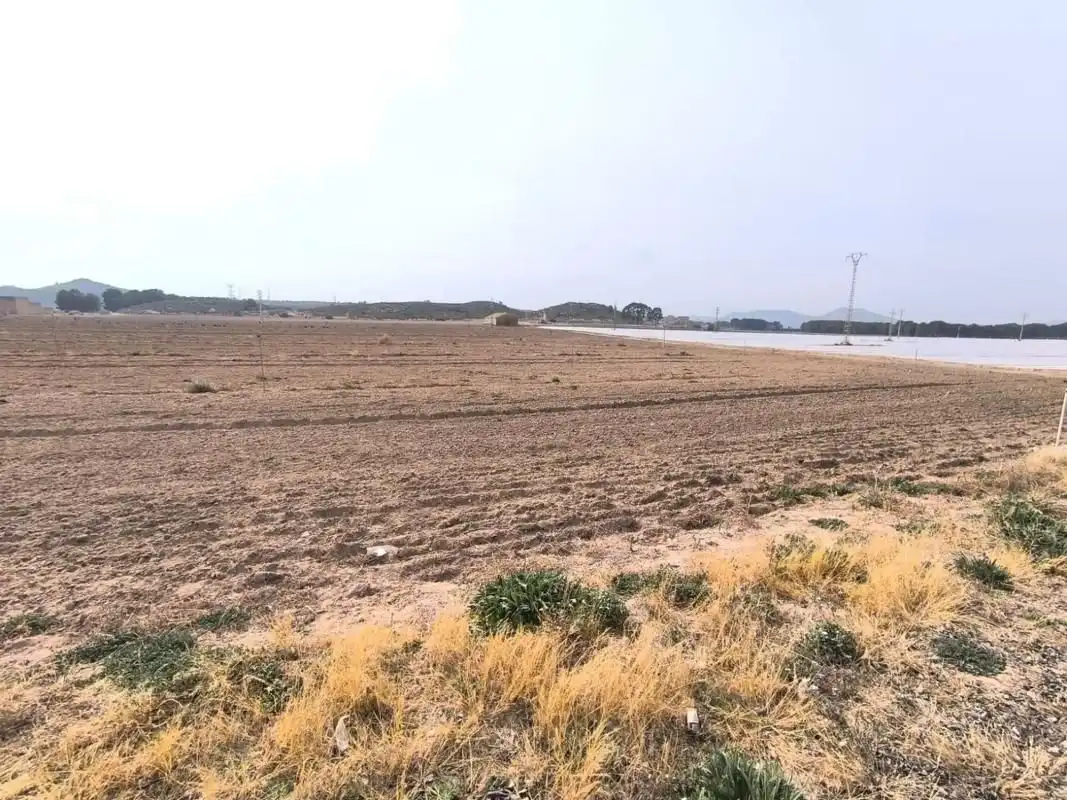 Residential land for sale in El Rabal, imagen 12