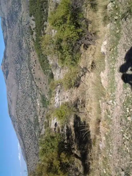 Casa rústica amb jardí en venda a Guadix, imagen 10