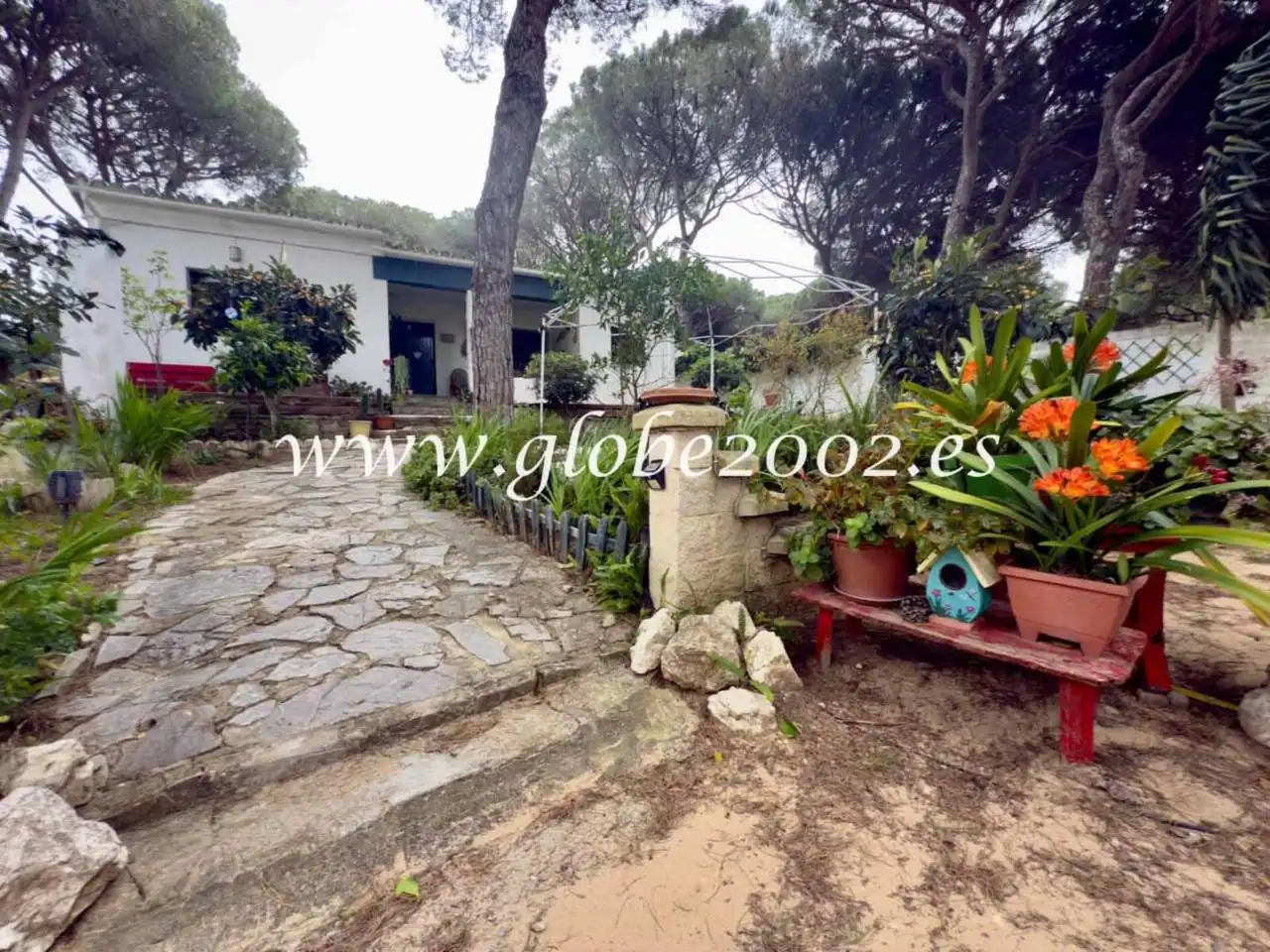 Villa mit Pool zum Verkauf in Los Franceses – La Vega, imagen 30