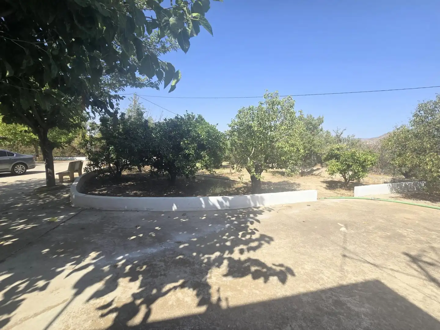 Houses for sale in Aspe