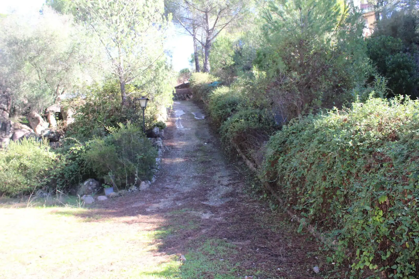 Jardí de Casa o xalet en venda en Córdoba amb Aire condicionat, Jardí privat i Terrassa
