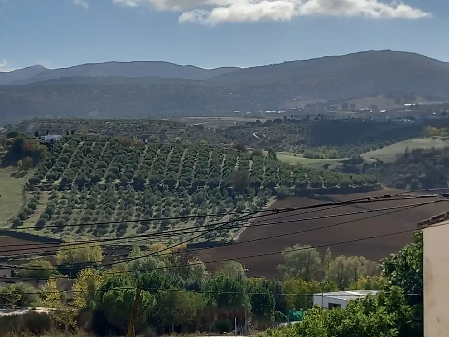 Residential zum Verkauf in Ronda