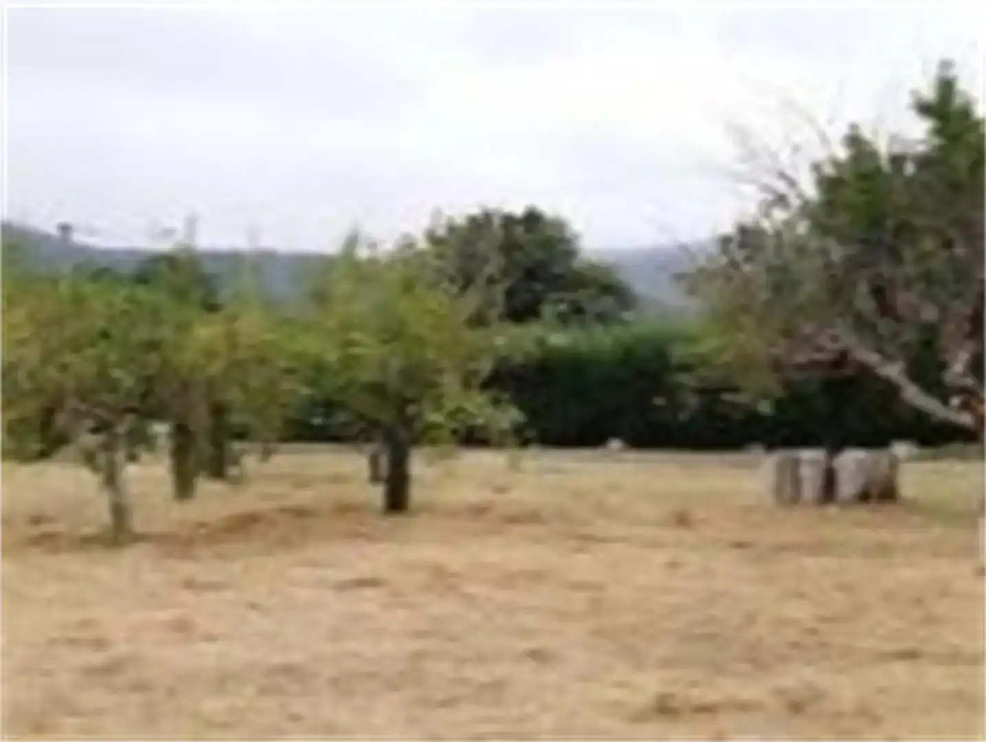 Casa o chalet en venta en O Valadouro  , Lugo