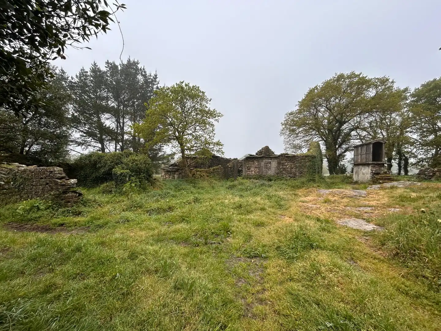 Finca rústica en venta en Guitiriz
