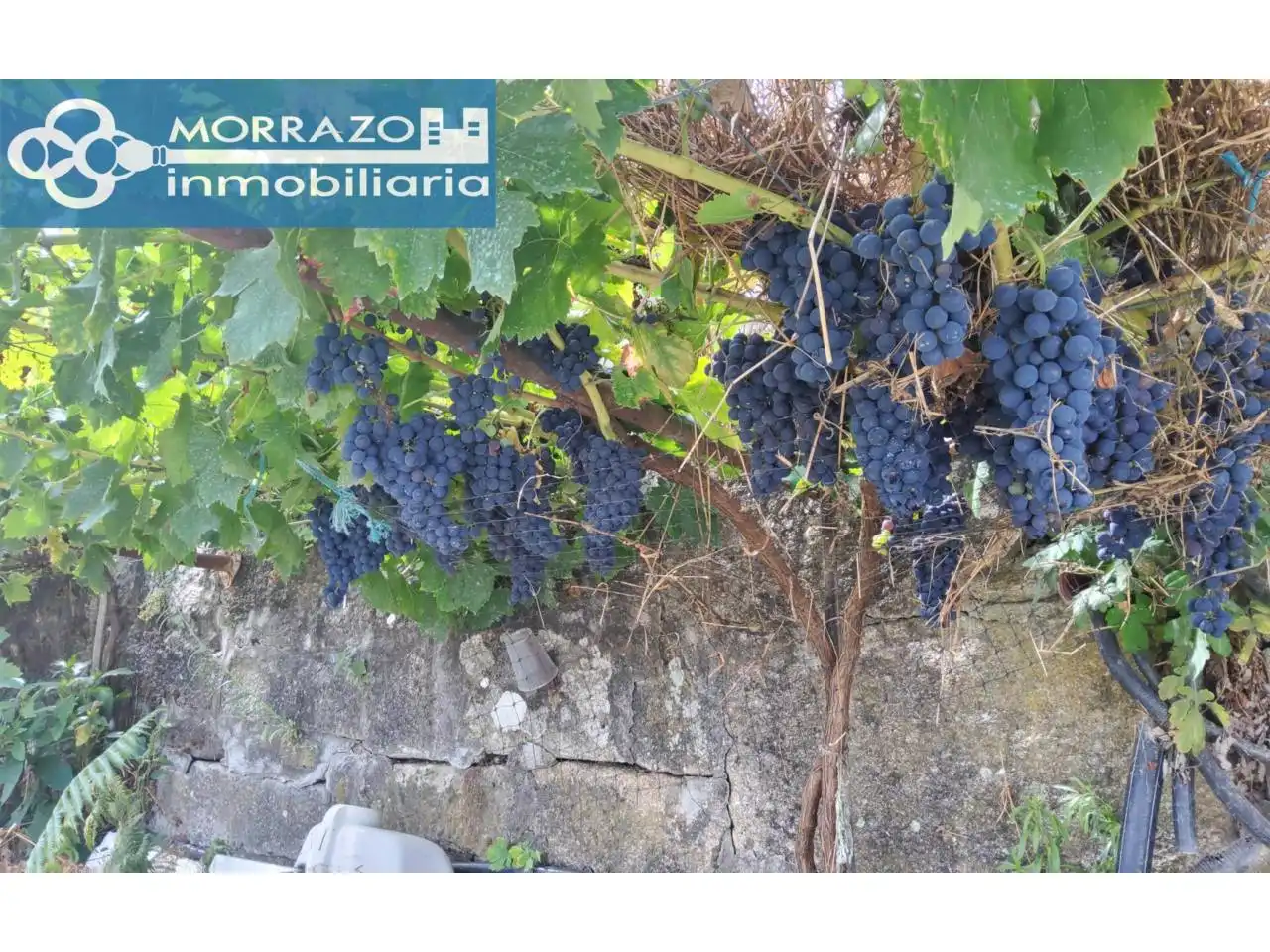 Exterior view of Houses for sale in Marín  with Heating, Private garden and Terrace