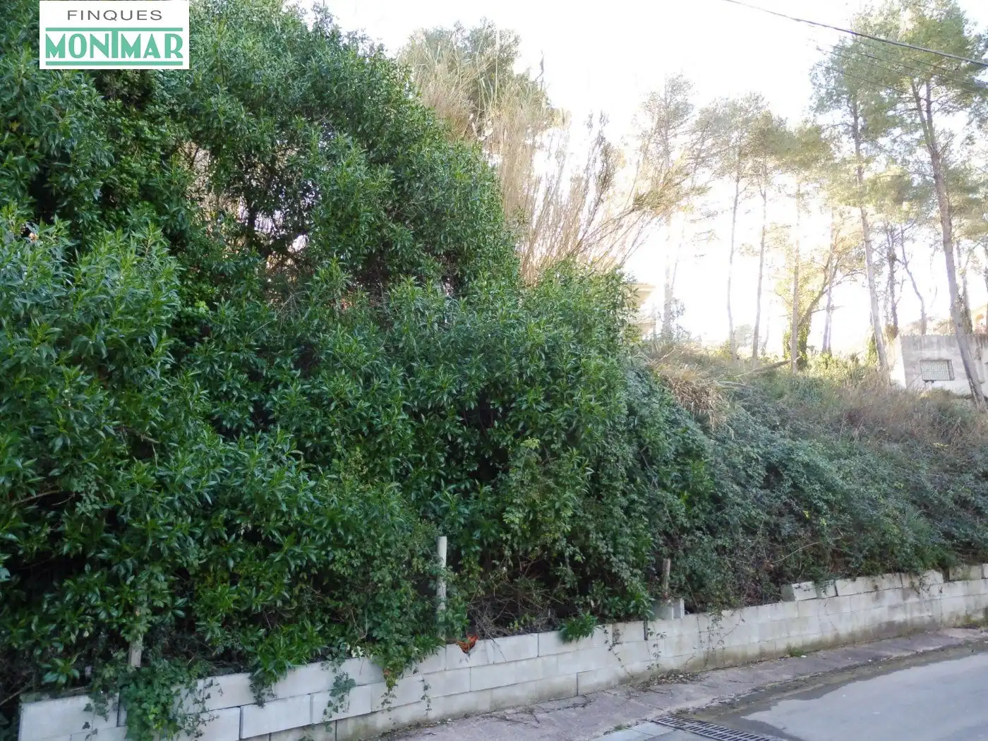 Wohnbaugrundstück zum Verkauf in Calle MUNTANYES DE PRADES(M.M.), imagen 5