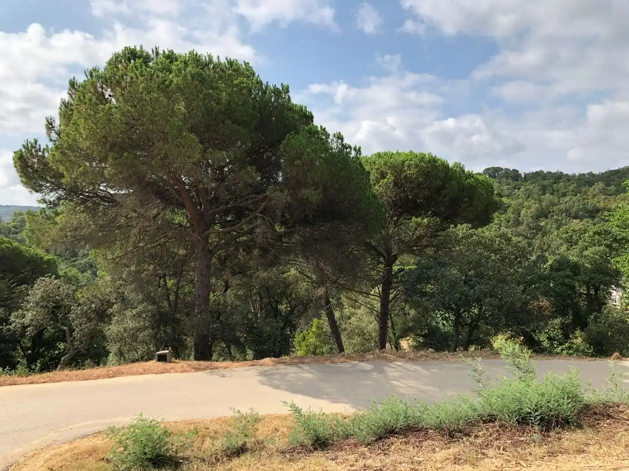 Residencial en venta en Carrer Muntanya, Niàgara Parc - Ágora Parc