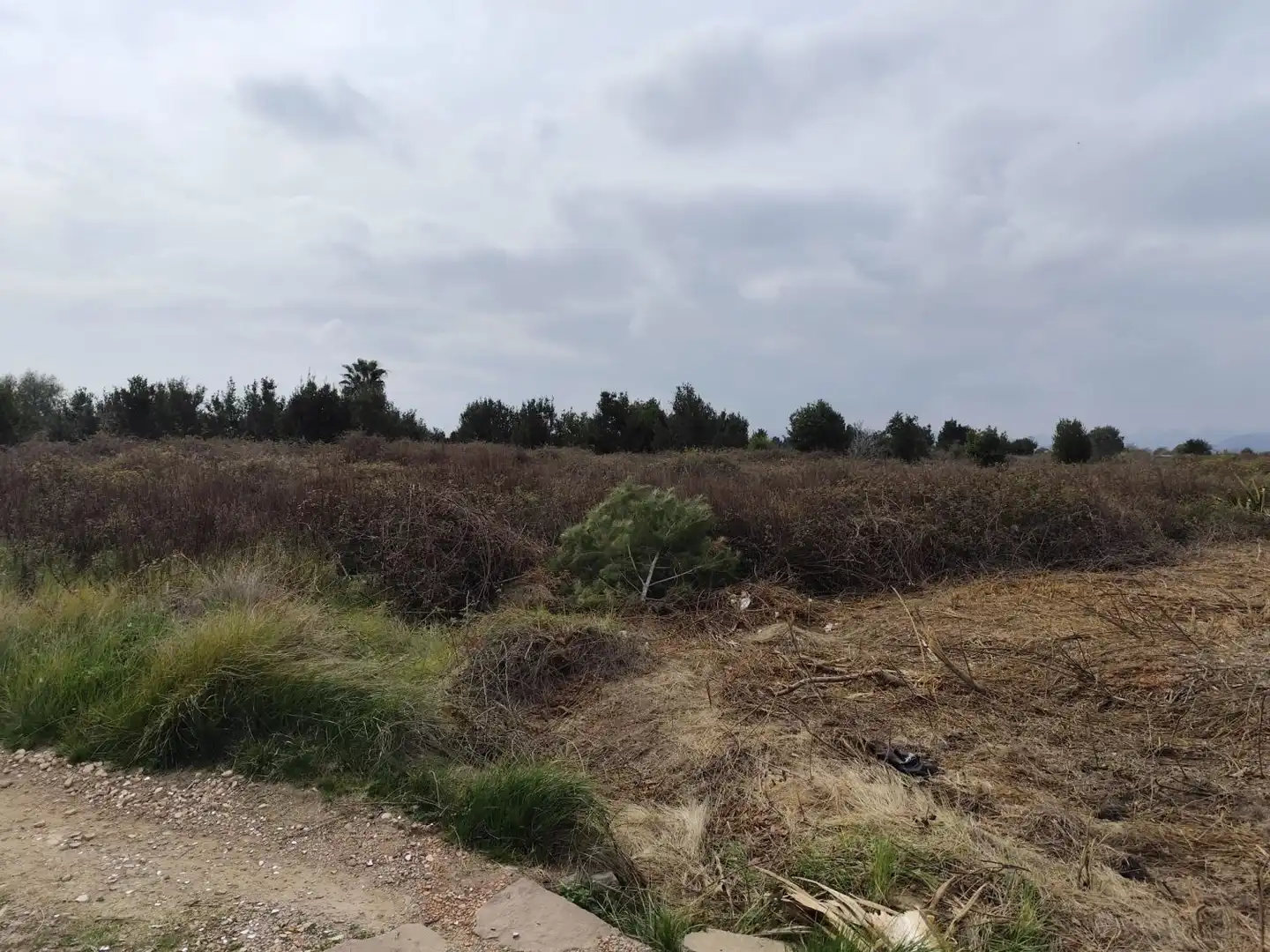 Residential for sale in Sagunto / Sagunt