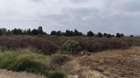 Photo 4 of Residential for sale in Sendero de Montiver, S/n, El Baladre, Sagunto / Sagunt