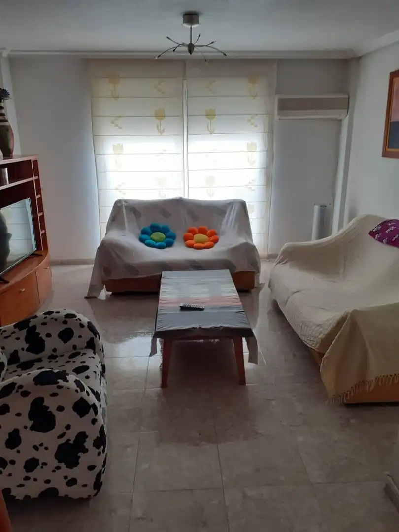 Duplex in vendita a C. Vicente Blasco IbaÃ±ez, imagen 2