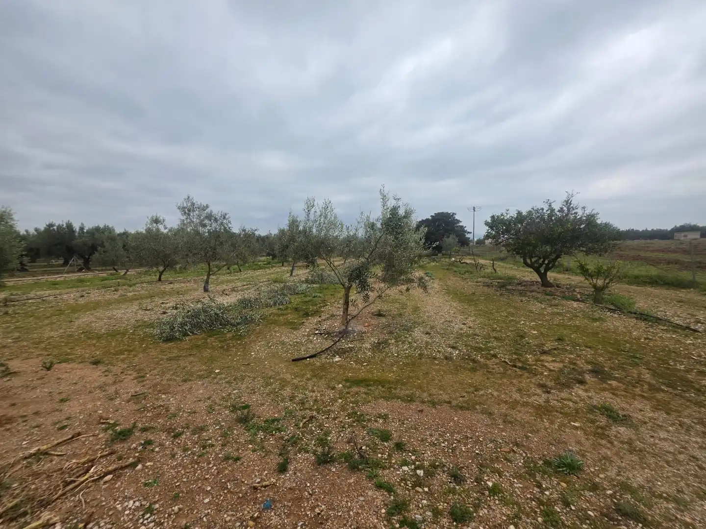 Terreno rustico in vendita a Santa Bàrbara, imagen 31