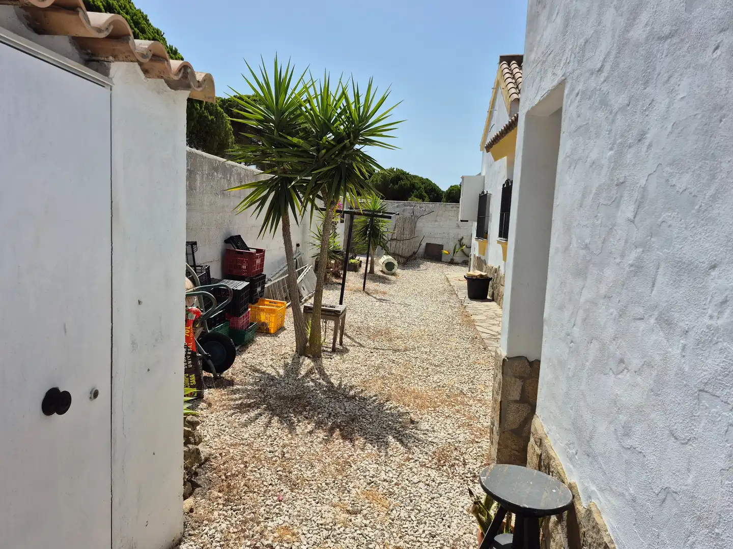 Garden of Country homes for sale in Barbate  with Terrace