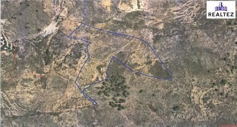 Terrain rustique à vendre à Alcolea, imagen 2