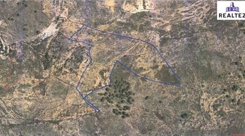 Finca rústica en venta en plena Alpujarra Almeriense, immagine 2