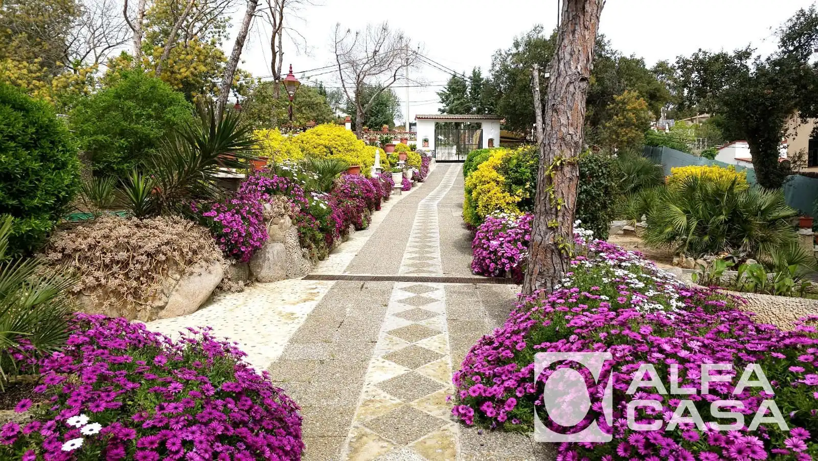 Maison avec terrasse à vendre à Mas Altaba - El Molí, imagen 5