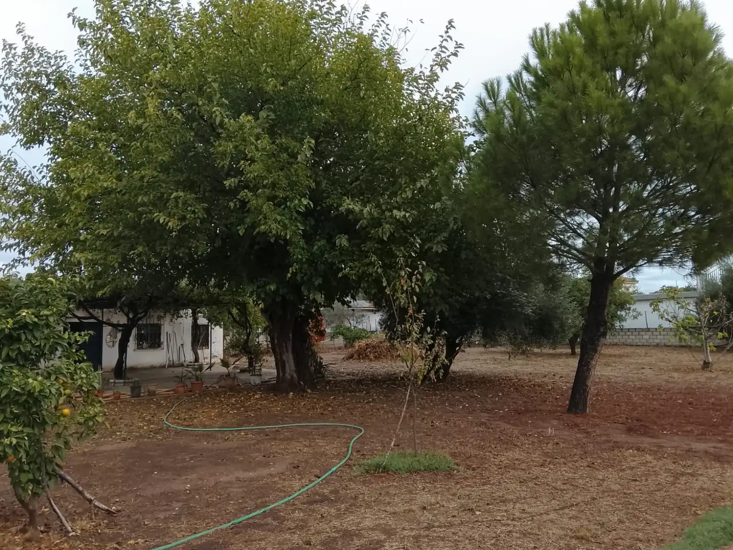 Finca rústica en venda en Córdoba amb Aire condicionat, Calefacció i Jardí privat