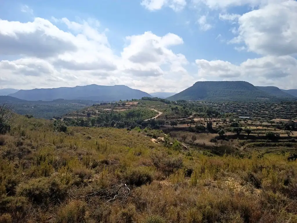 Terreni e lotti in vendita a Valderrobres, imagen 6