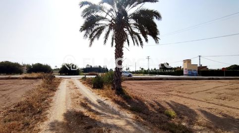Foto 3 de Casa o xalet en venda a Algorós - El Derramador, Elche / Elx