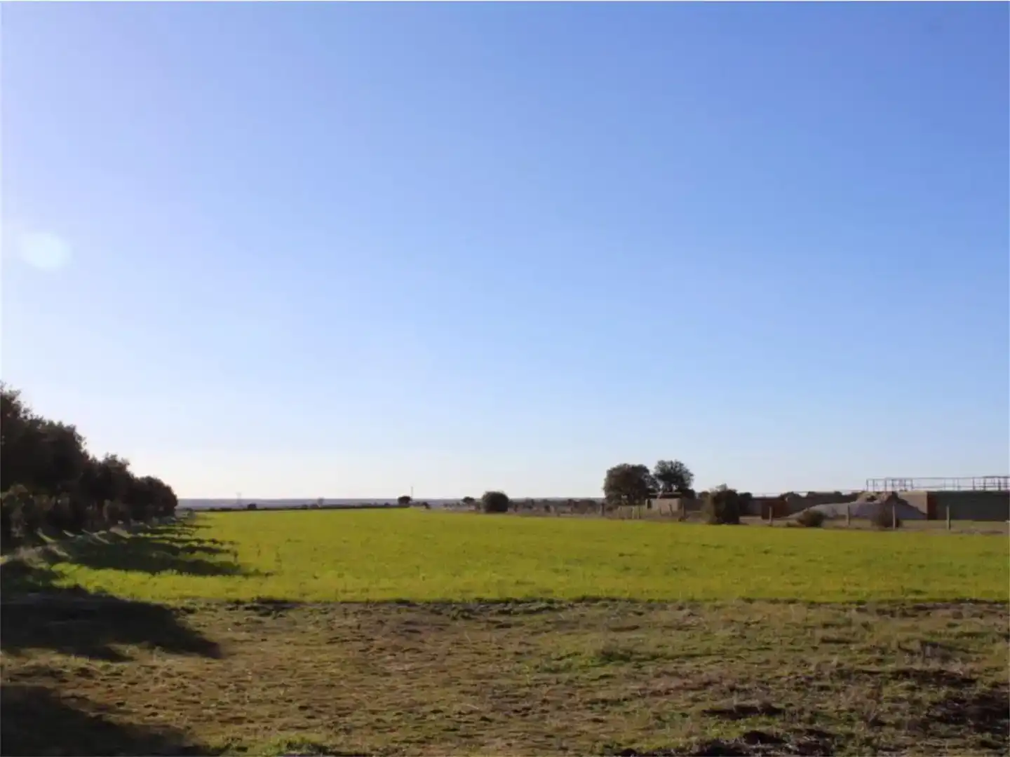 Land for sale in Carpio de Azaba