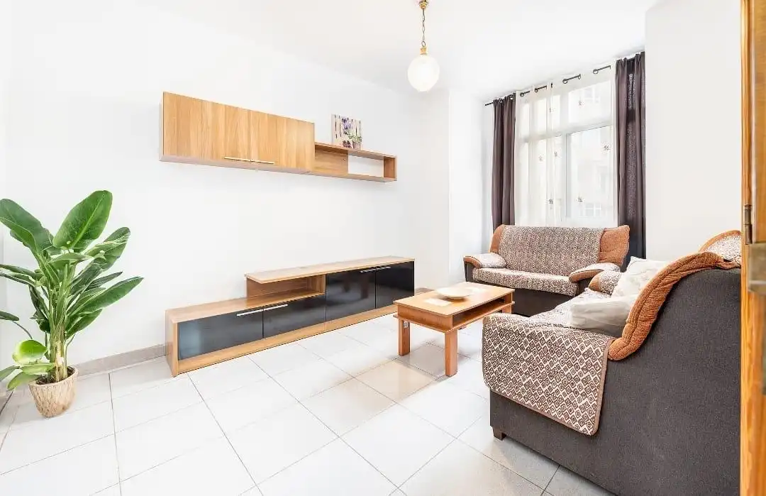 Living room of Flat for rent in Las Palmas de Gran Canaria  with Furnished, Washing machine and Microwave