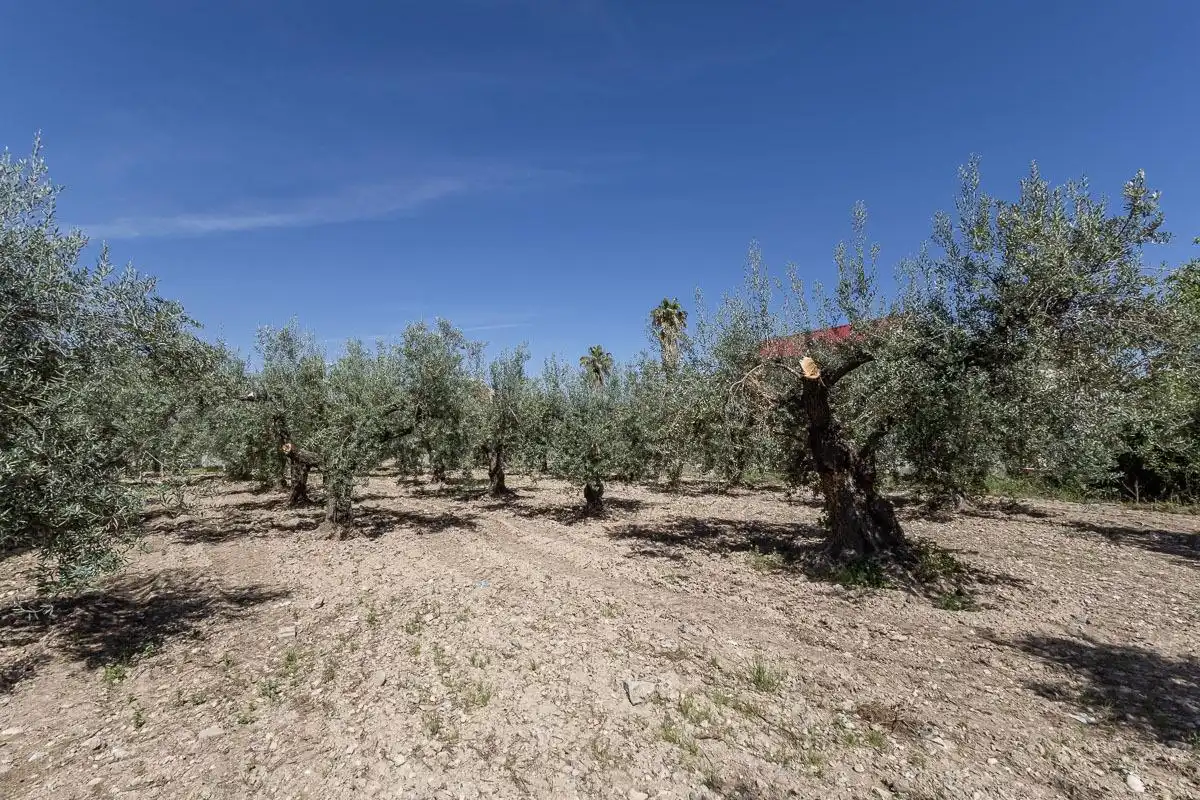 Residential for sale in Gójar