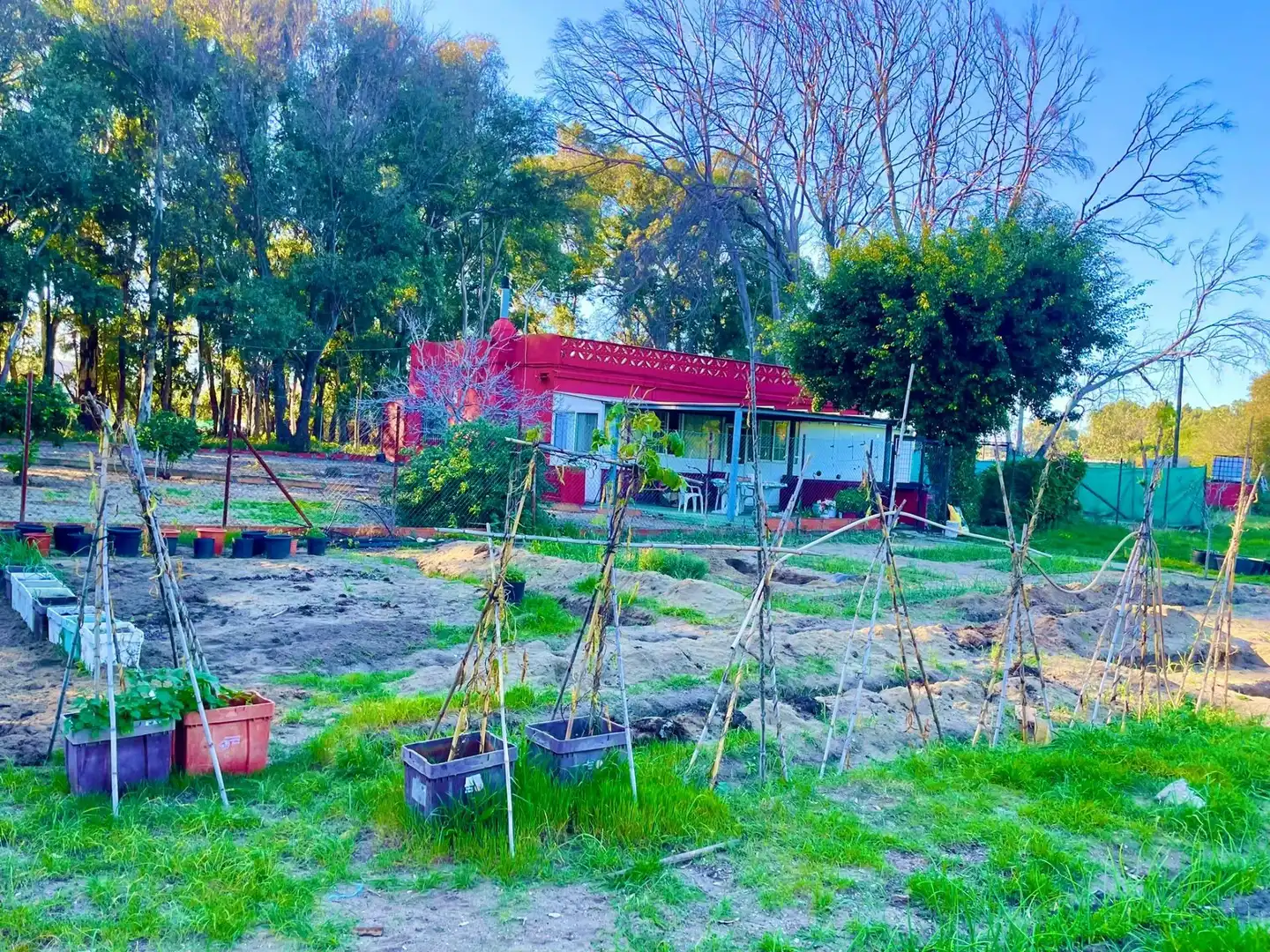 Garden of Houses for sale in La Línea de la Concepción