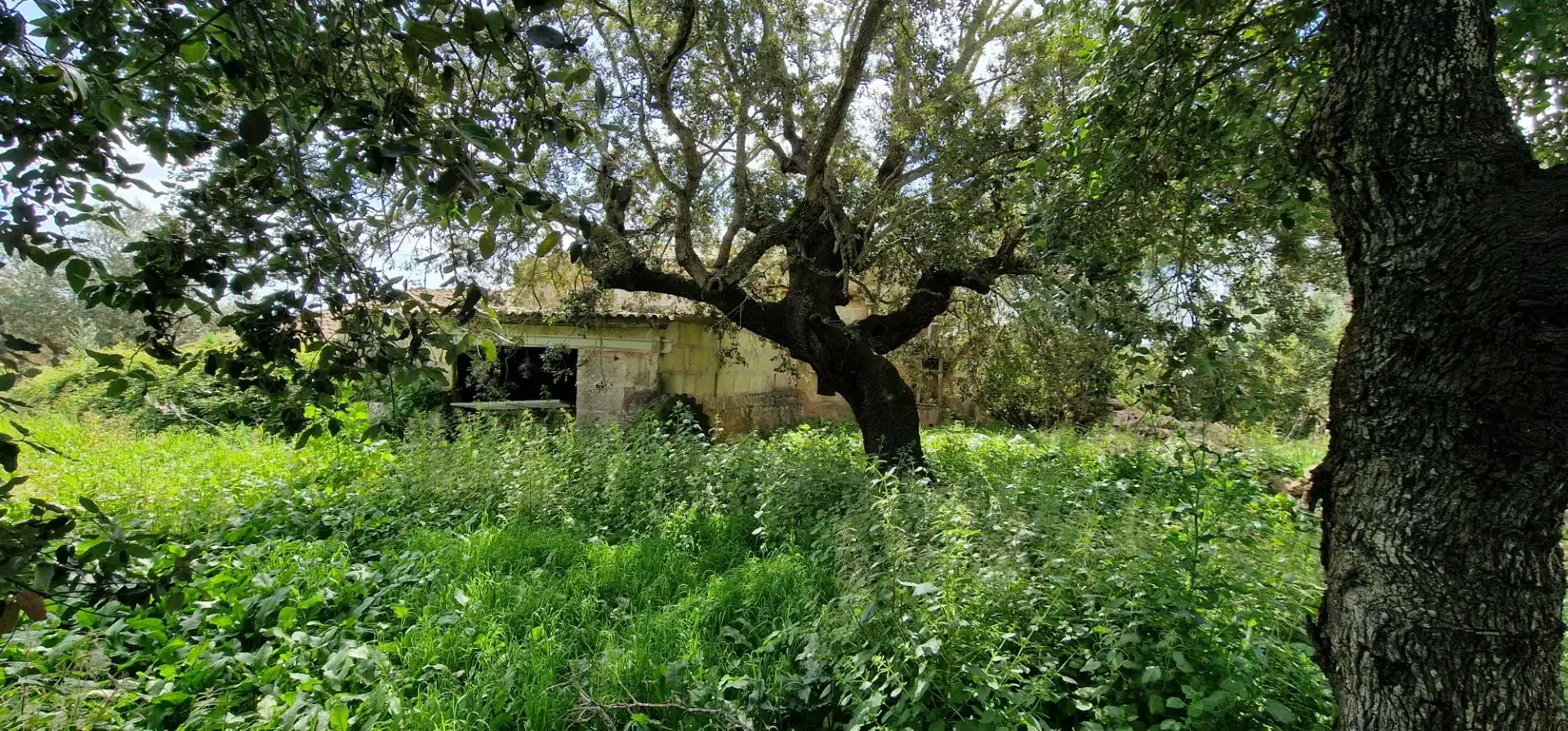 Country homes for sale in Manacor