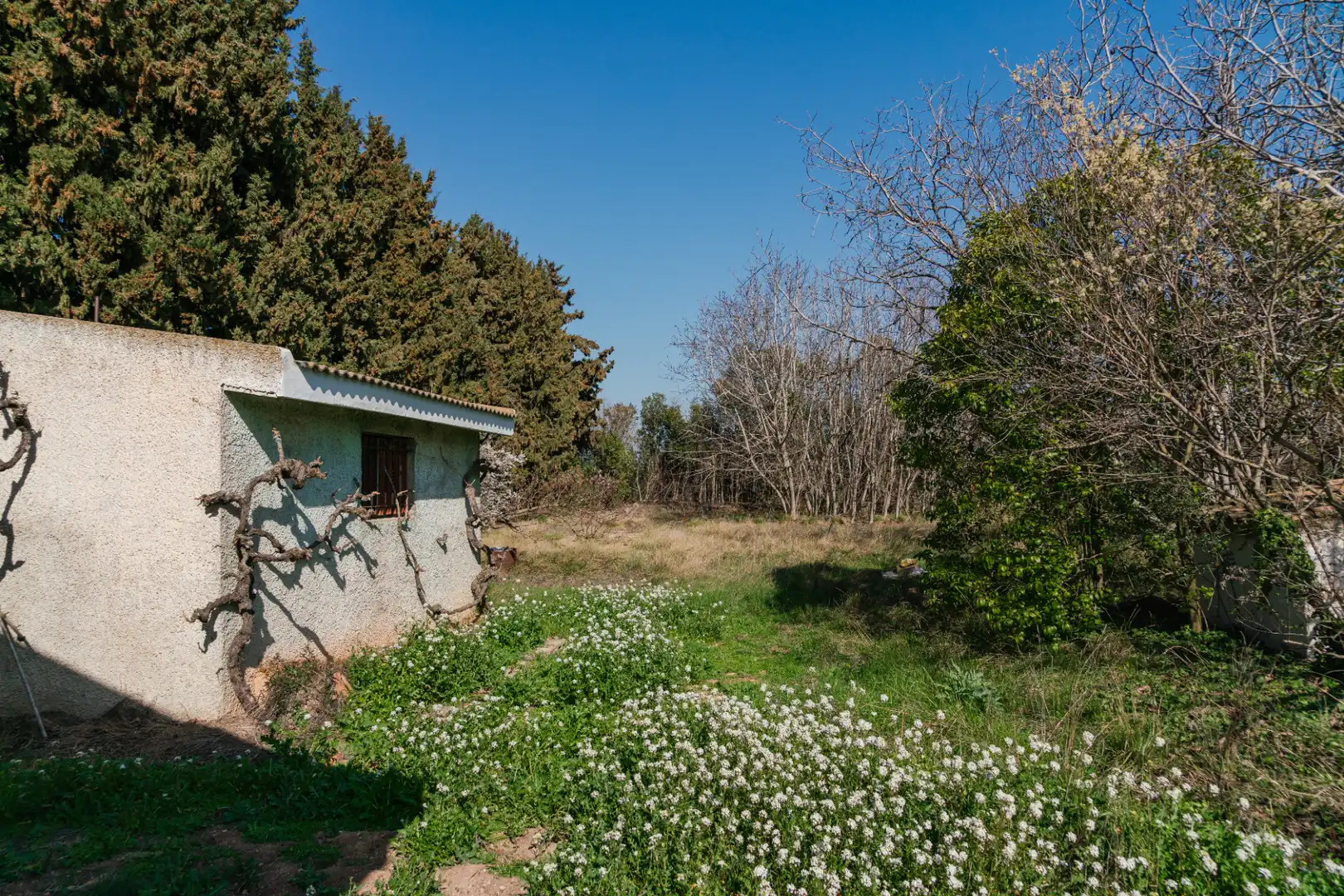 Finca rústica en venda en Pedrola amb Jardí privat, Terrassa i Moblat
