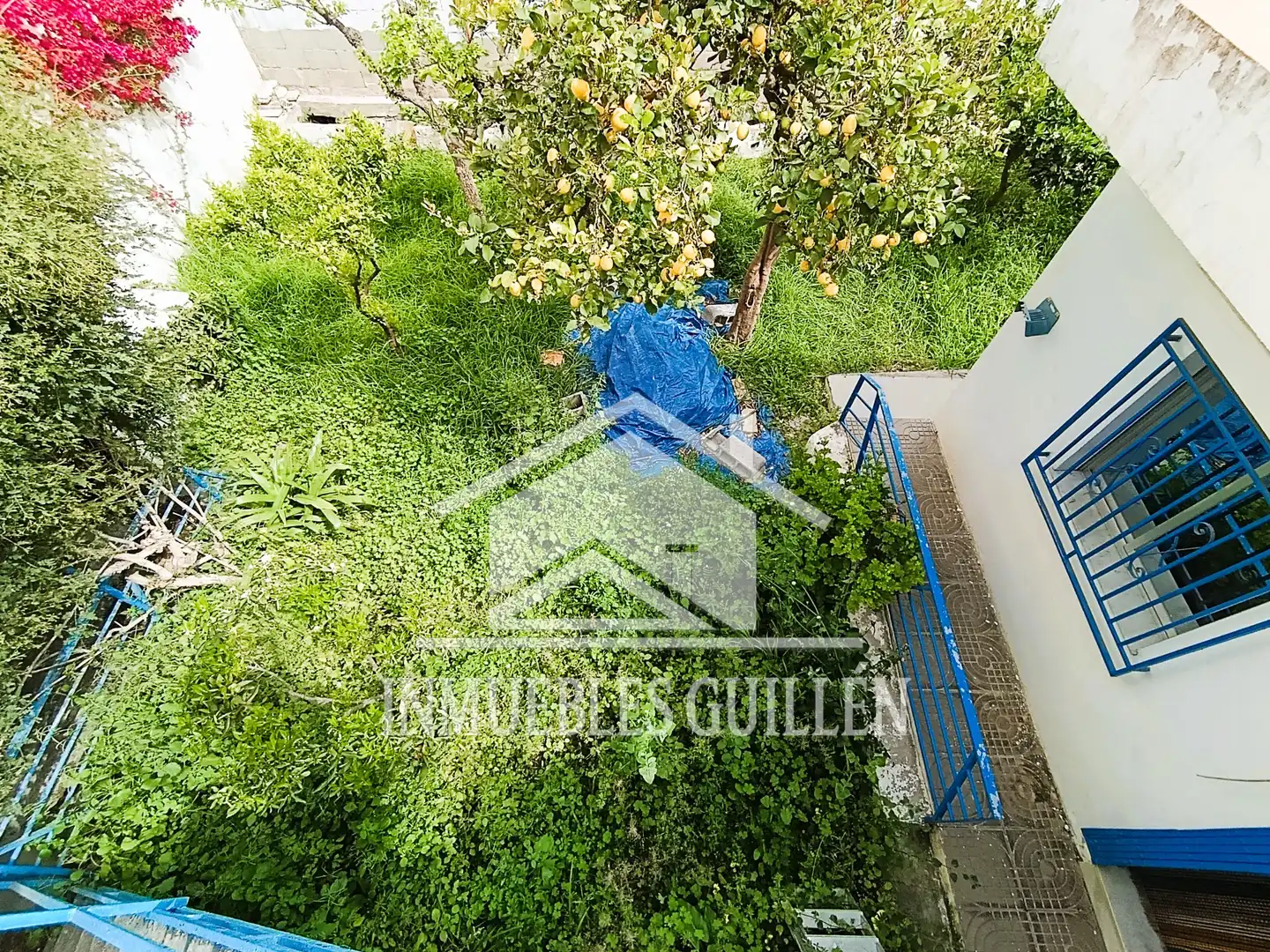 House with garden for sale in Berja, imagen 3