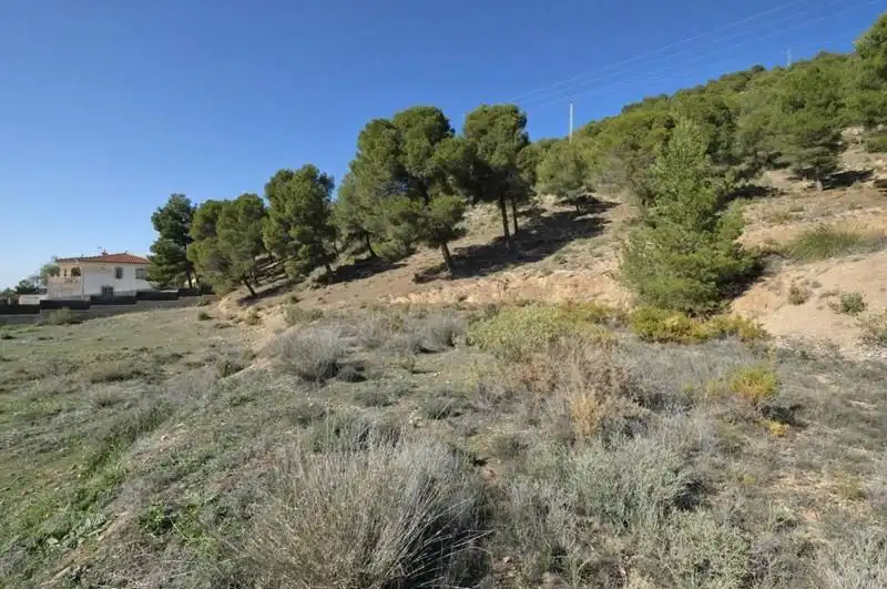 Terreni e lotti in vendita a Padul, imagen 32