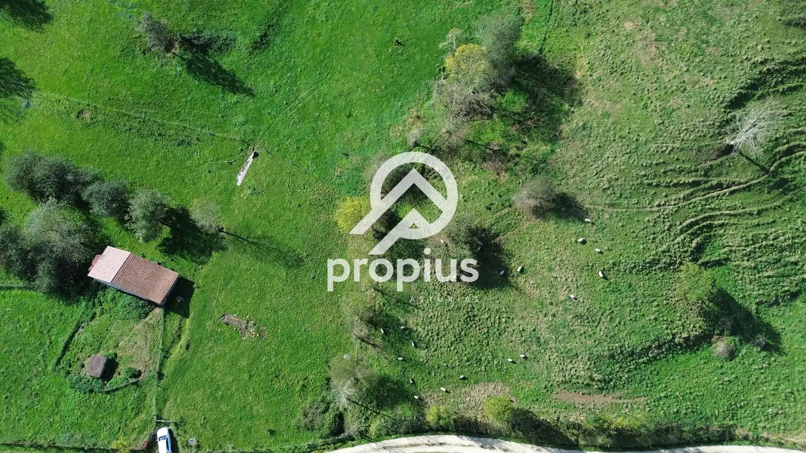Rural land for sale in Inguanzo, imagen 19