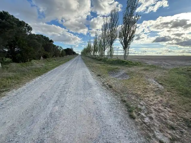 Industrial building for sale in Cantalapiedra, imagen 9
