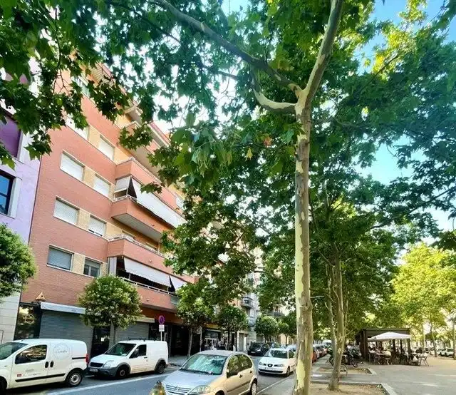 Piso con terraza en venta en La Girada, imagen 42