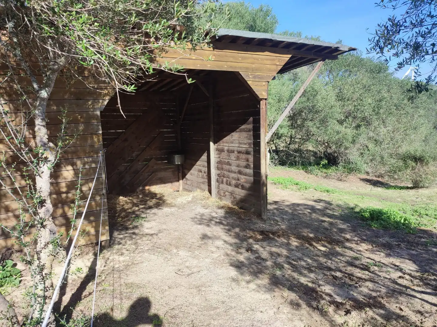 Außenansicht von Haus oder Chalet zum Verkauf in Vejer de la Frontera mit Heizung, Privatgarten und Parkett
