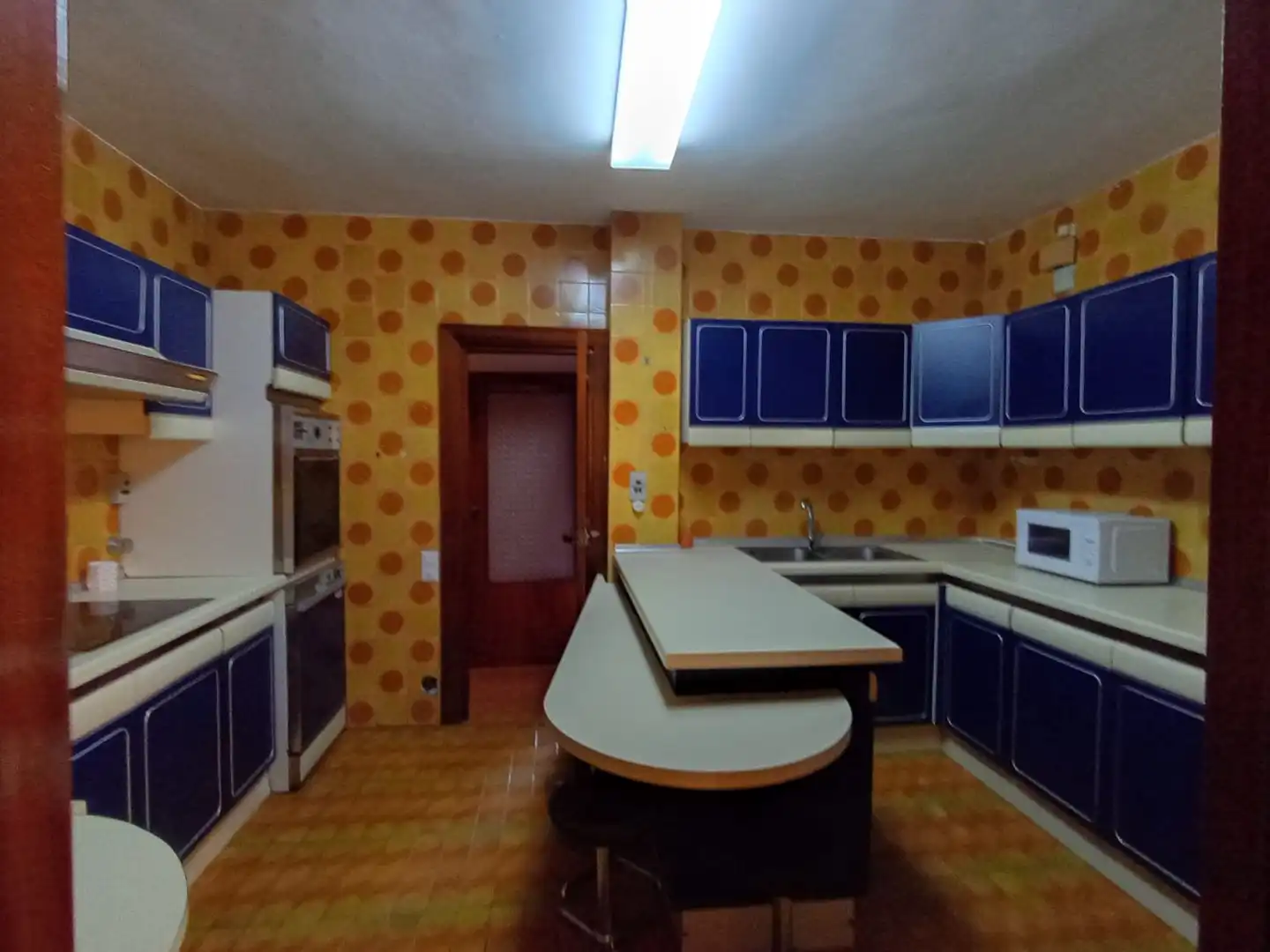 Wohnung mit Terrasse zur Miete in Alfredo Kaus, imagen 15
