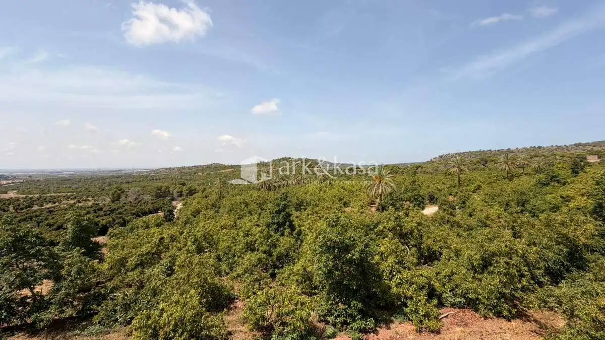 Casa o chalet de alquiler en Sagunto / Sagunt con Aire acondicionado, Jardín privado y Terraza