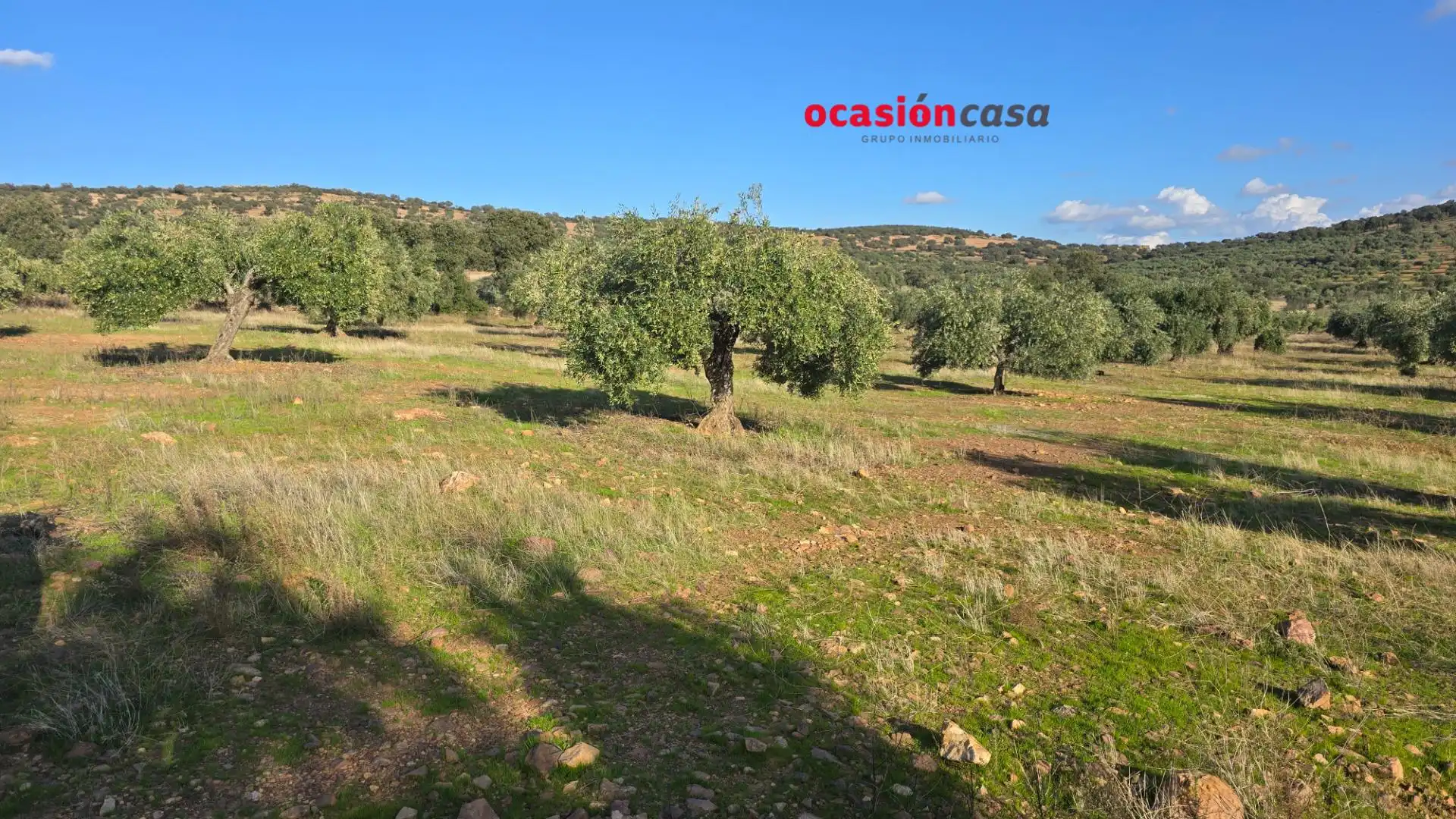 Wohnbaugrundstück zum Verkauf in La Granjuela, imagen 21