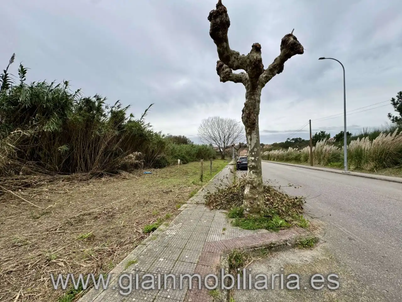Lands and plots for sale in Avenida Reverendo José María Pérez Alonso 1, imagen 22