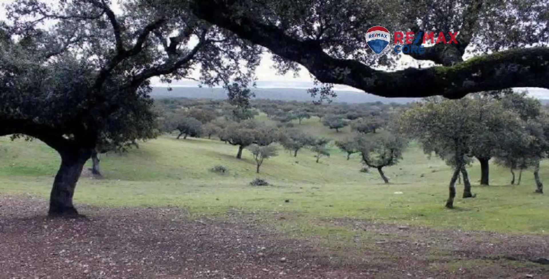 Terreni e lotti in vendita a Dehesilla de Calamón - Campomanes, imagen 2